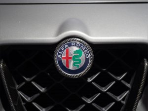 Alfa Romeo Stelvio Front V Shield Grill Frame + Emblem Frame Kit - Carbon Fiber - QV Model
